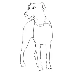 Doberman Dog Attention Free Coloring Page for Kids