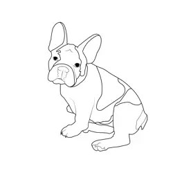 French Bulldog Free Coloring Page for Kids