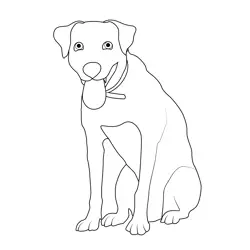 Mixed Breed Dog Free Coloring Page for Kids
