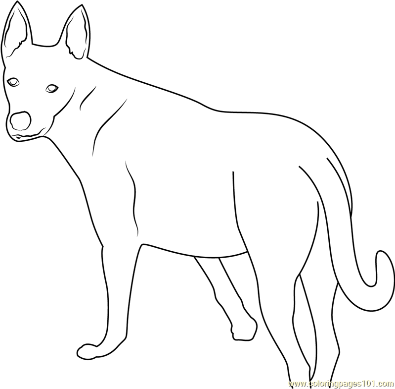 Carolina Dog Coloring Page - Free Dog Coloring Pages : ColoringPages101.com