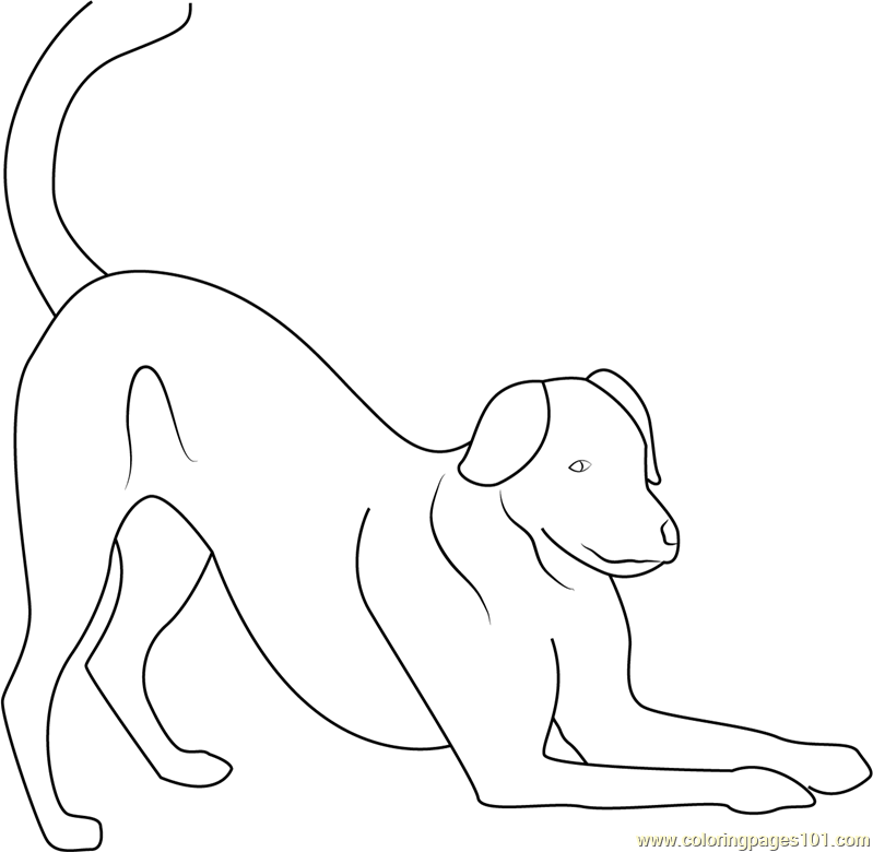 Dog Play Bow Coloring Page - Free Dog Coloring Pages : ColoringPages101.com