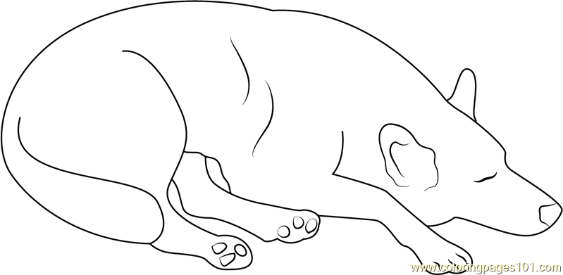 Dog Sleeping at Home Coloring Page - Free Dog Coloring Pages