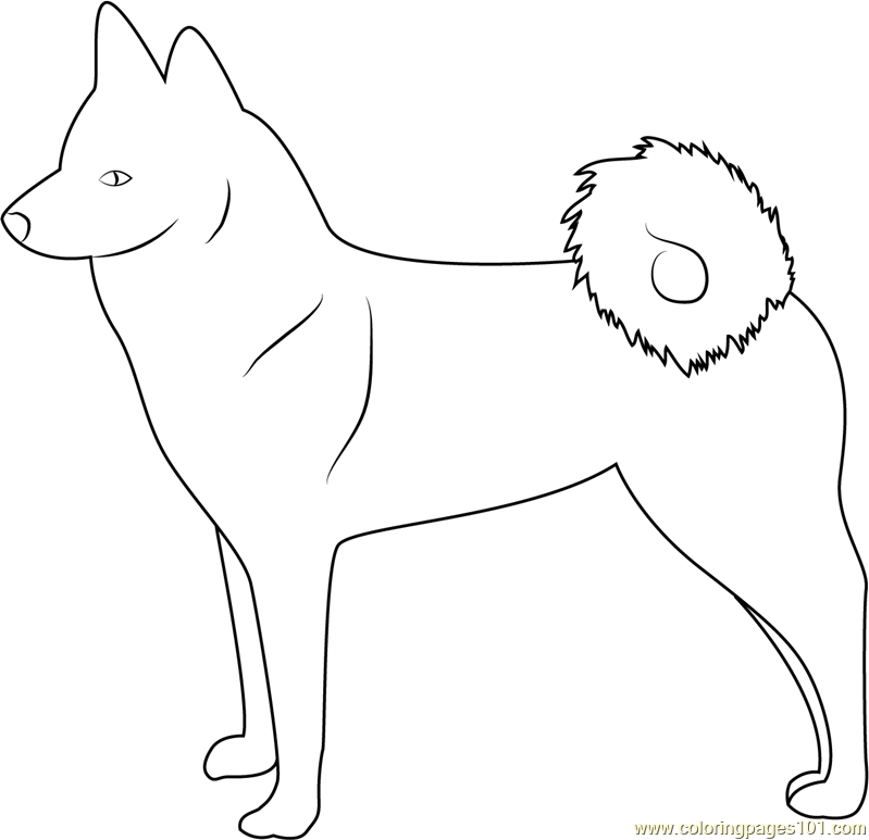 Finnish Spitz Coloring Page - Free Dog Coloring Pages