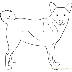 Cute Canaan Dog Free Coloring Page for Kids
