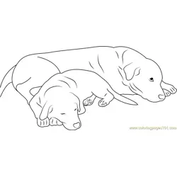 Dog Sleeping with Mother Free Coloring Page for Kids