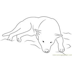 Dog Sleeping Free Coloring Page for Kids