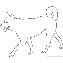 Dog Walking with Pride Free Coloring Page for Kids