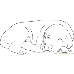 It's Bed Time Free Coloring Page for Kids