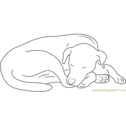 Let Sleeping Dog Free Coloring Page for Kids
