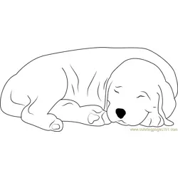 Sleeping Dog Free Coloring Page for Kids