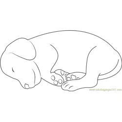 Small Dog Sleeping Free Coloring Page for Kids