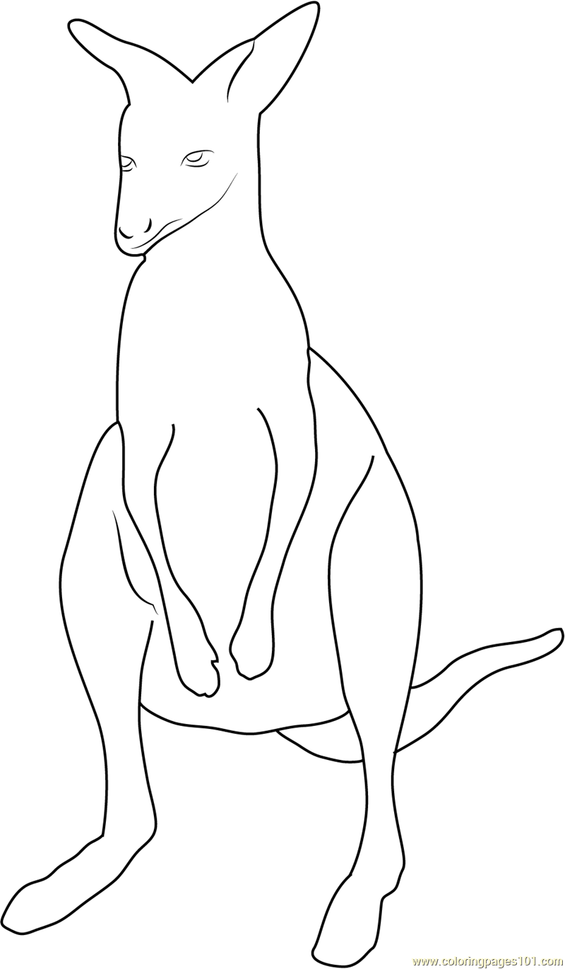 Kangaroo at up see Coloring Page - Free Kangaroo Coloring Pages