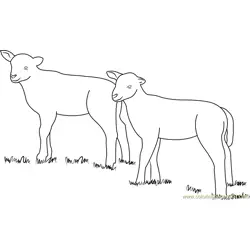 Lamb Look At Free Coloring Page for Kids