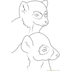 Ring Tailed Lemur Face Free Coloring Page for Kids