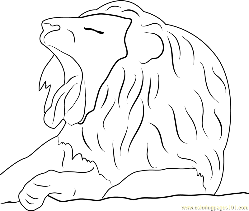 Lion Face Coloring Page - Free Lion Coloring Pages : ColoringPages101.com