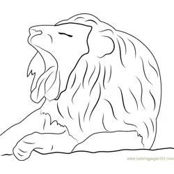 Lion Face Free Coloring Page for Kids