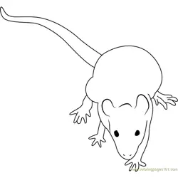 Lab Mouse Free Coloring Page for Kids