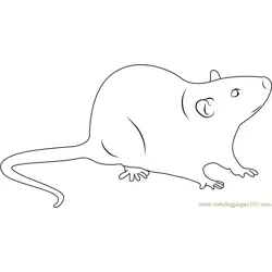Mouse Up Look Free Coloring Page for Kids