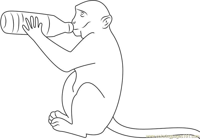 Monkey Drink Milk Coloring Page - Free Monkey Coloring Pages ...