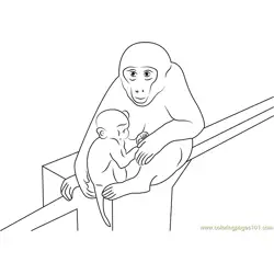 Baby Monkey With Mother Free Coloring Page for Kids