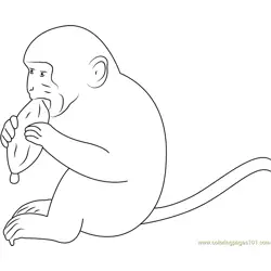 Hungry Monkey Free Coloring Page for Kids