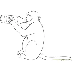 Monkey Drink Milk Free Coloring Page for Kids