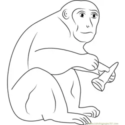 Monkey Having Ice Cream Free Coloring Page for Kids