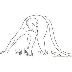 Monkey Look U Free Coloring Page for Kids