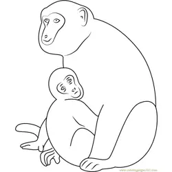 Monkey and Son Free Coloring Page for Kids
