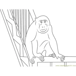 Monkey in Gallery Free Coloring Page for Kids