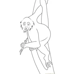 Panama spider monkey Costa Rica Free Coloring Page for Kids