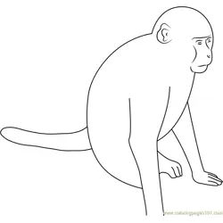 Roadside Monkey Free Coloring Page for Kids