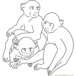 Three Monkeys Free Coloring Page for Kids