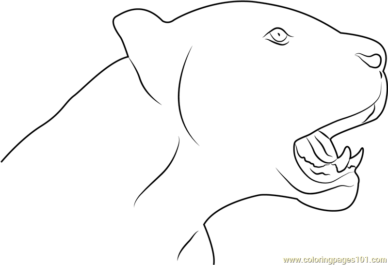 Black Panther Face Coloring Page Free Panther Coloring