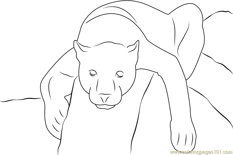 Black Panther Coloring Page - Free Panther Coloring Pages