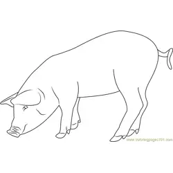 Eating Pig Free Coloring Page for Kids