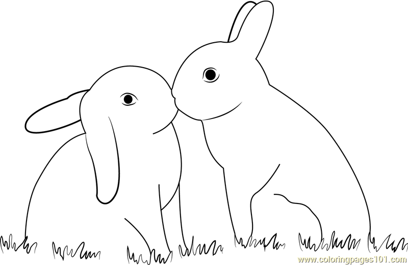 Rabbit In Love Coloring Page - Free Rabbit Coloring Pages