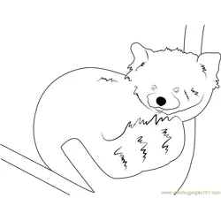 Graceful Red Panda Free Coloring Page for Kids