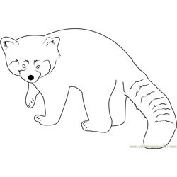 Featured image of post Red Panda Colouring Pages Search through 623 989 free printable colorings at getcolorings