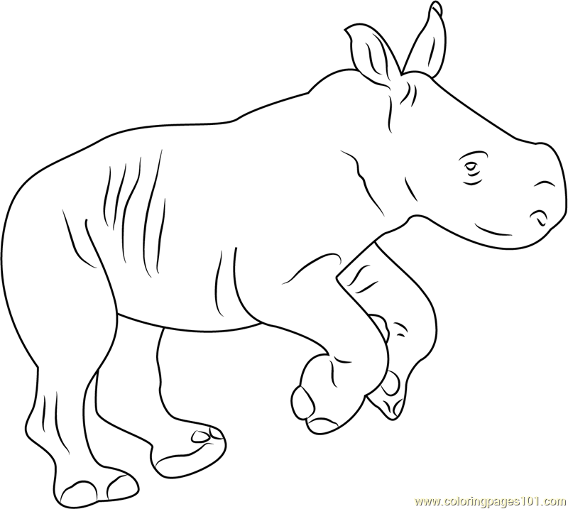 Rhino Baby Coloring Page - Free Rhinoceros Coloring Pages