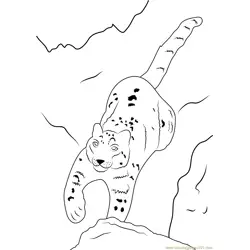 Maher Snow Leopard Free Coloring Page for Kids