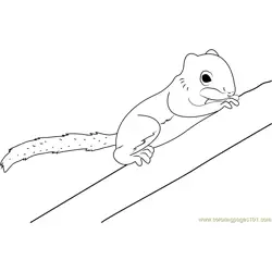Grizzled Giant Squirrel Free Coloring Page for Kids