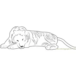 Tiger Sleeping Free Coloring Page for Kids