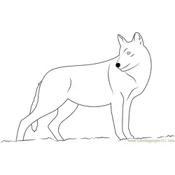 Smiling Wolf Free Coloring Page for Kids