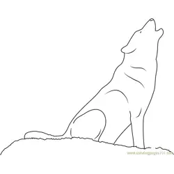 Wolf Howling Free Coloring Page for Kids
