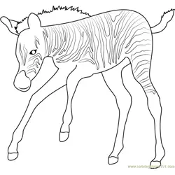 Baby Zebra Up Free Coloring Page for Kids