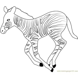 Running Zebra Free Coloring Page for Kids
