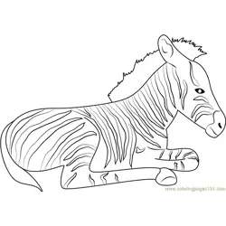 Zebra Relaxing Free Coloring Page for Kids