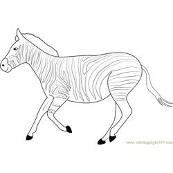 Zebra Run Free Coloring Page for Kids