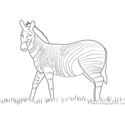Zebra look Free Coloring Page for Kids
